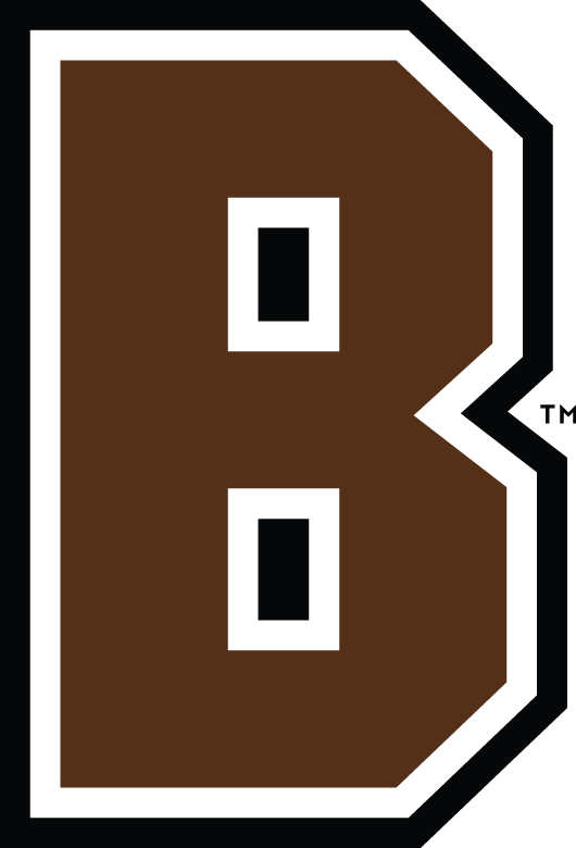 Brown Bears 2003-Pres Alternate Logo v2 diy DTF decal sticker